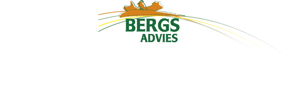 Bergs Advies logo def 3PMS